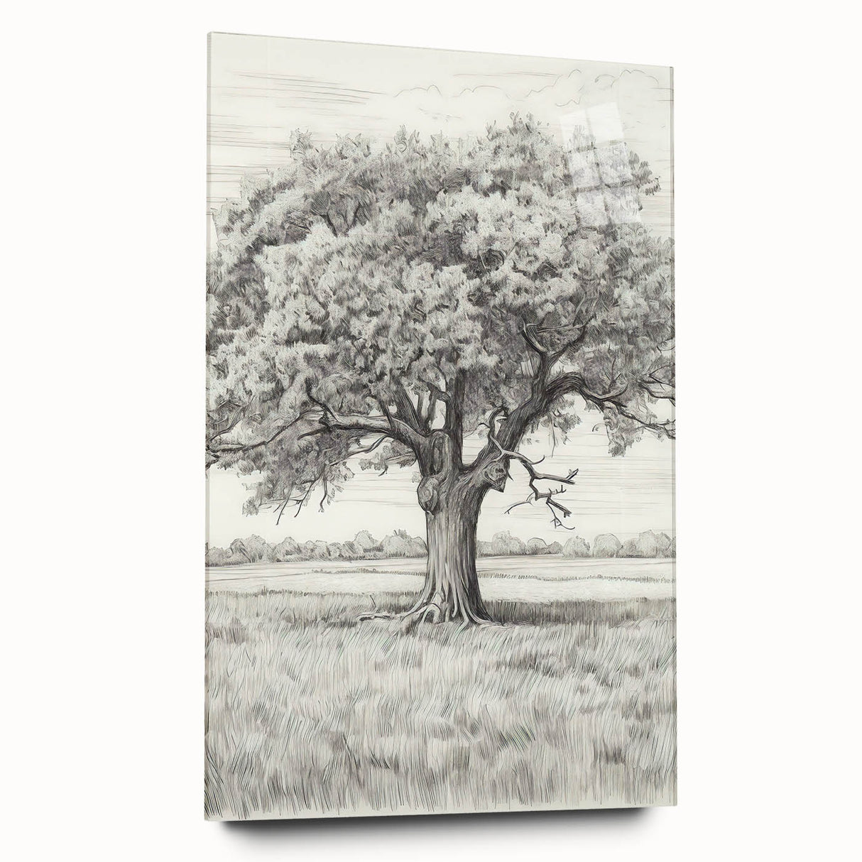 Vintage Oak Tree Sketch Art – Classic Monochrome Nature Print