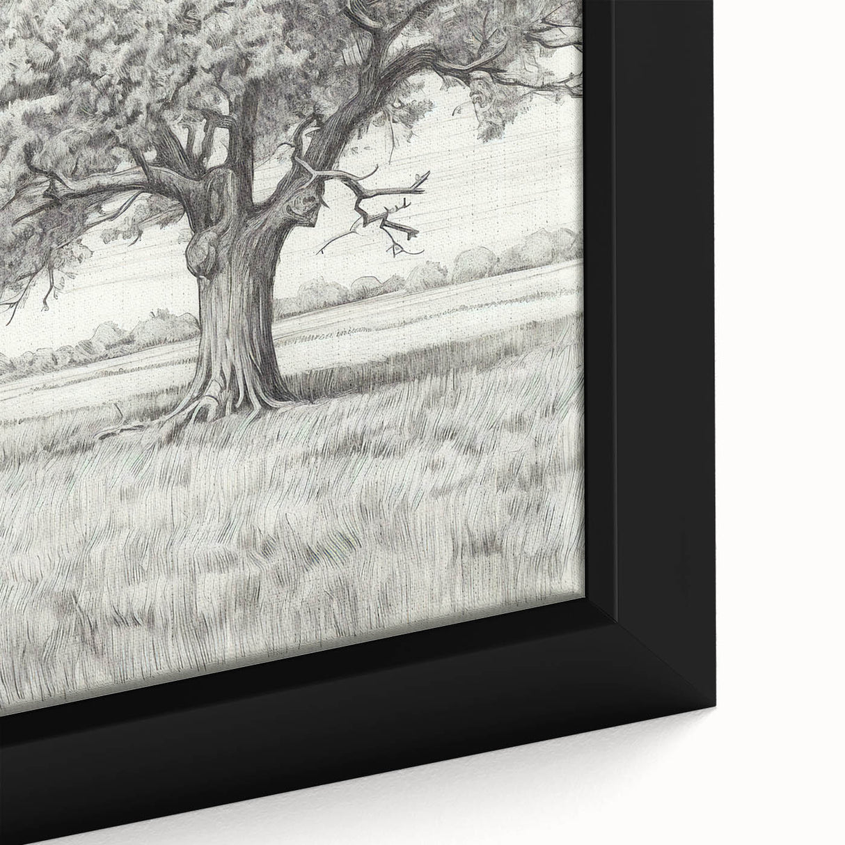 Vintage Oak Tree Sketch Art – Classic Monochrome Nature Print