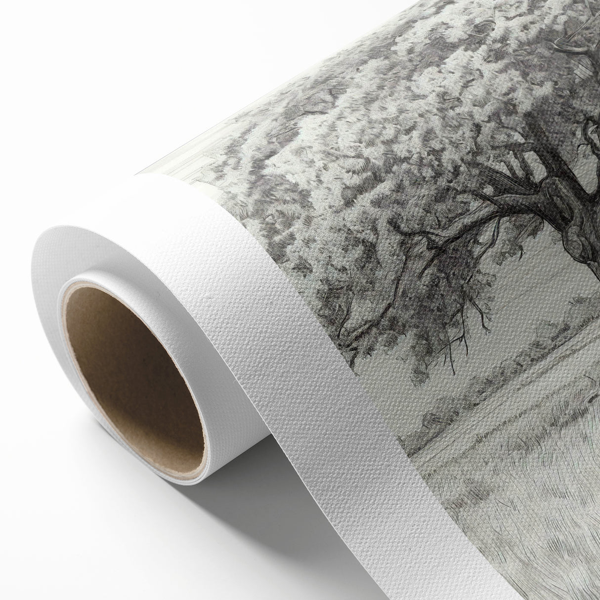 Vintage Oak Tree Sketch Art – Classic Monochrome Nature Print