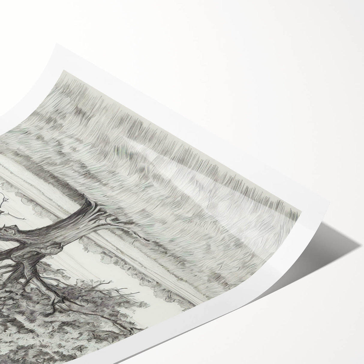 Vintage Oak Tree Sketch Art – Classic Monochrome Nature Print