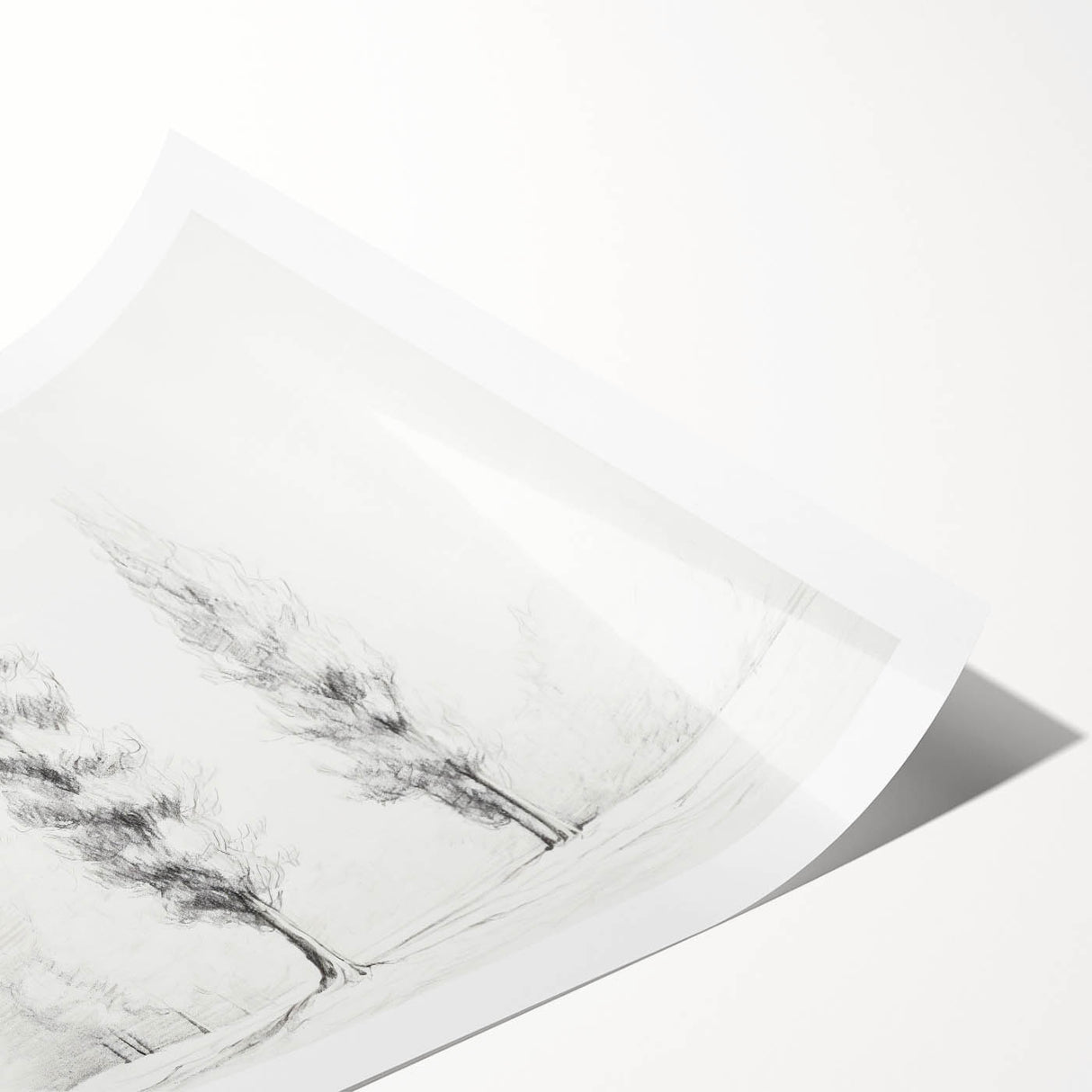 Vintage Sketch Landscape Art – Classic Monochrome Tree Print