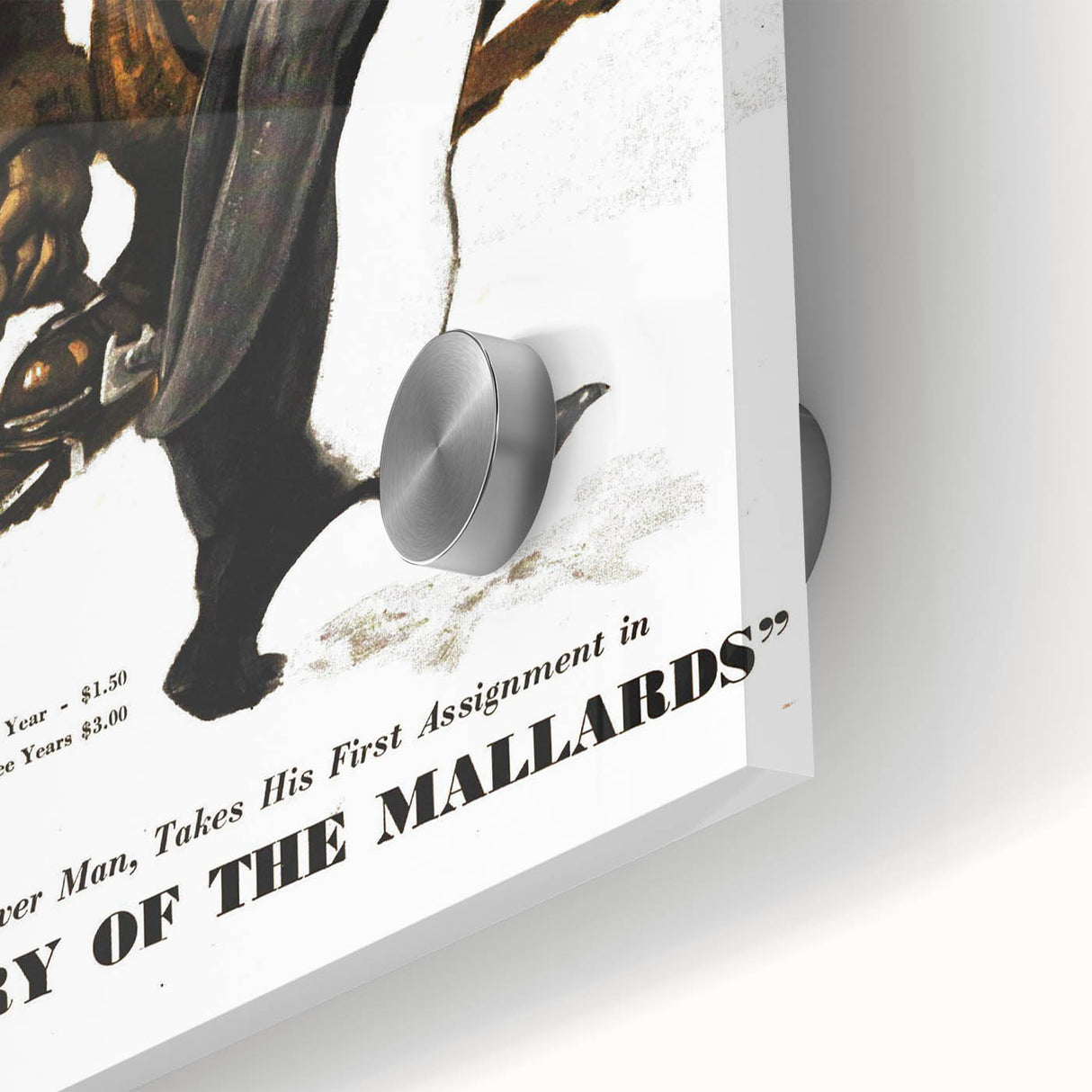 Vintage Magazine Cover Art - American Boy January 1938 Mystery of Mallards