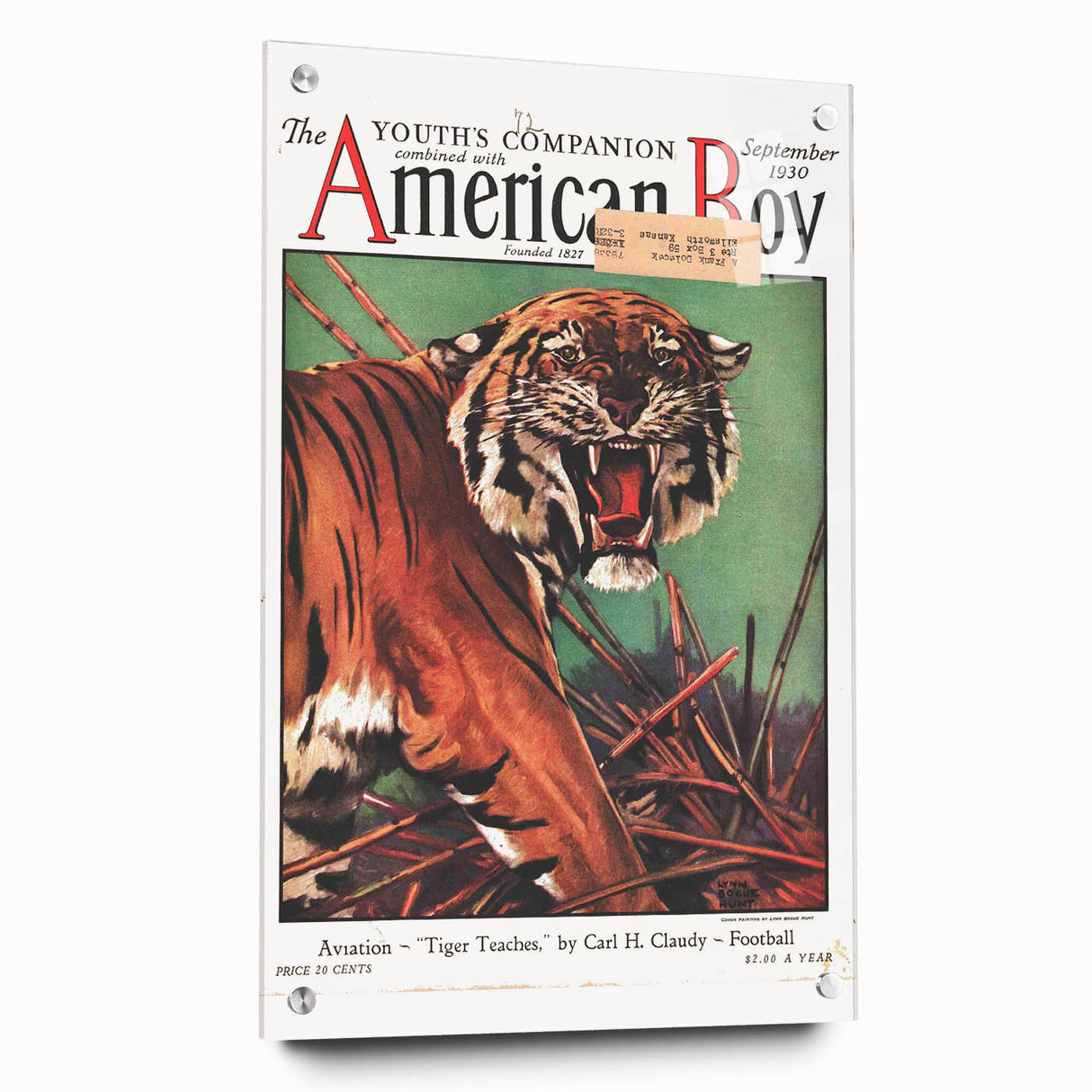 Vintage Magazine Cover Art - American Boy September 1930 Tiger Teaches