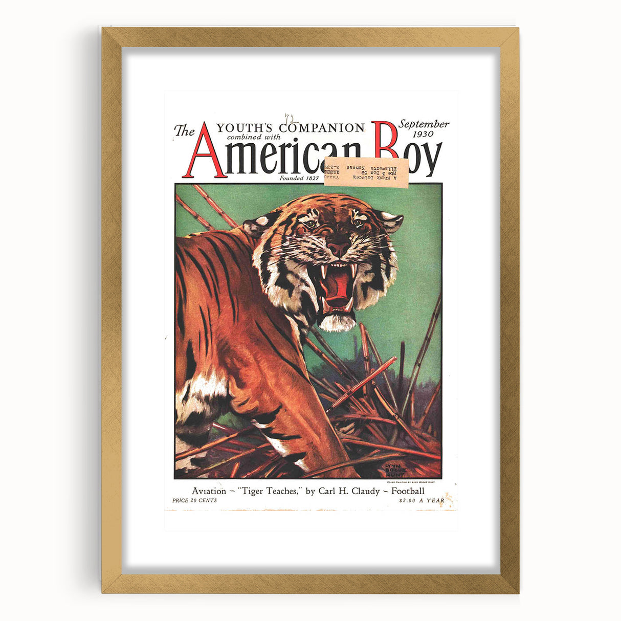 Vintage Magazine Cover Art - American Boy September 1930 Tiger Teaches