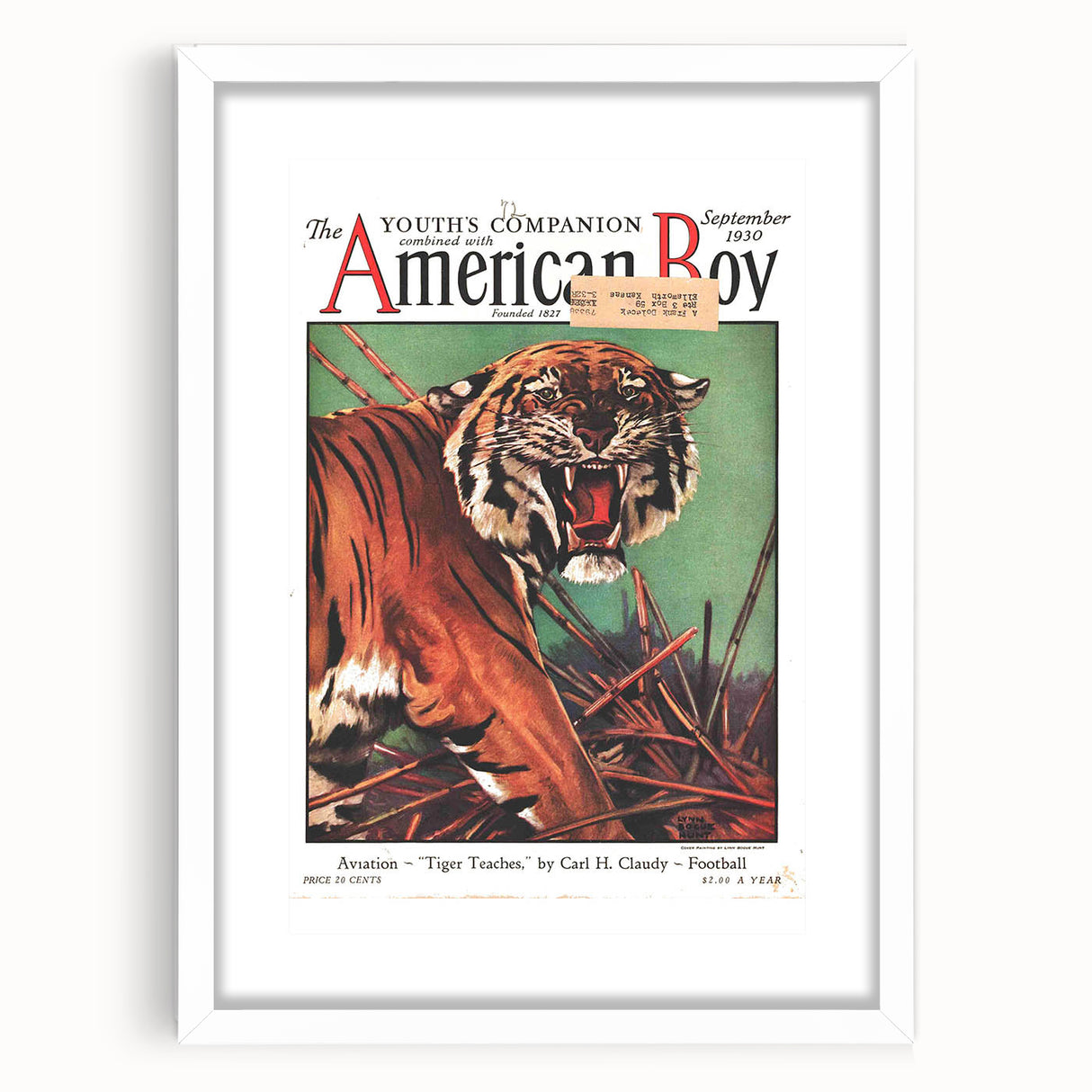 Vintage Magazine Cover Art - American Boy September 1930 Tiger Teaches