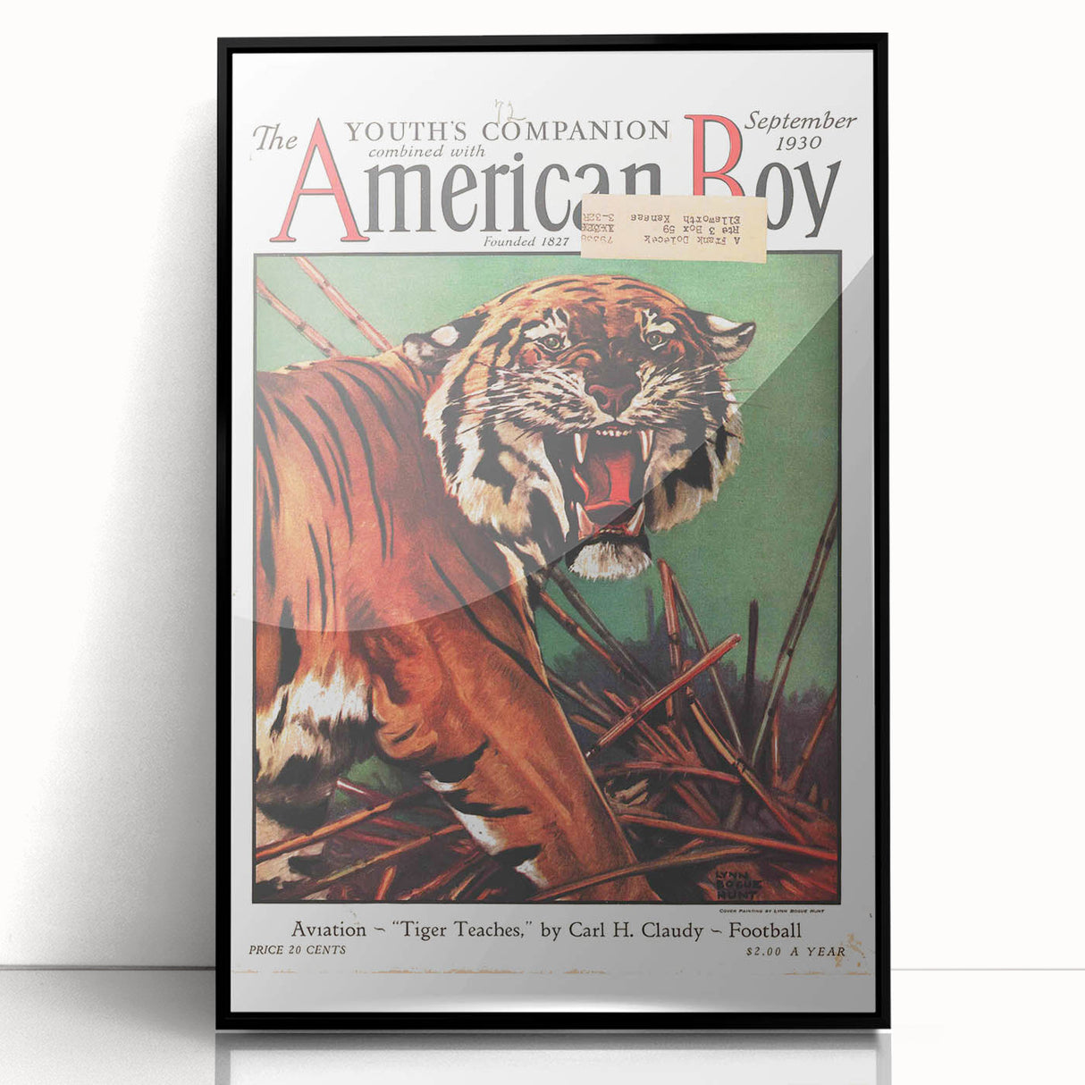 Vintage Magazine Cover Art - American Boy September 1930 Tiger Teaches