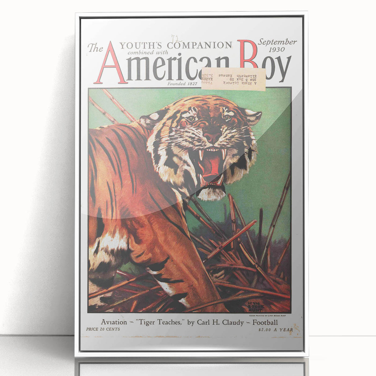 Vintage Magazine Cover Art - American Boy September 1930 Tiger Teaches
