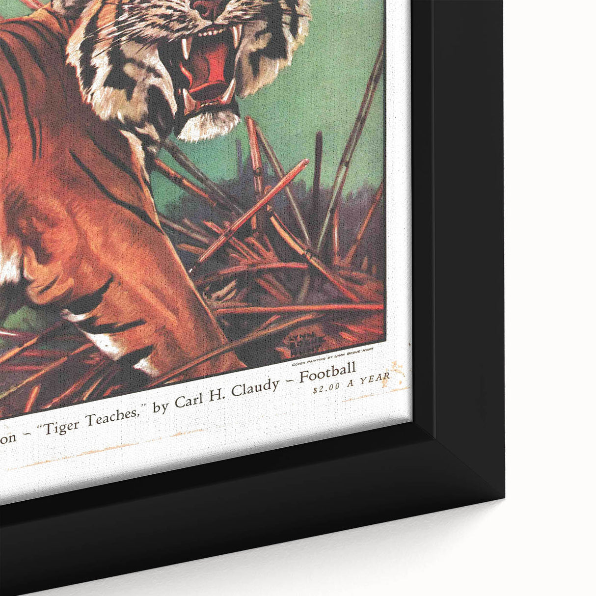 Vintage Magazine Cover Art - American Boy September 1930 Tiger Teaches