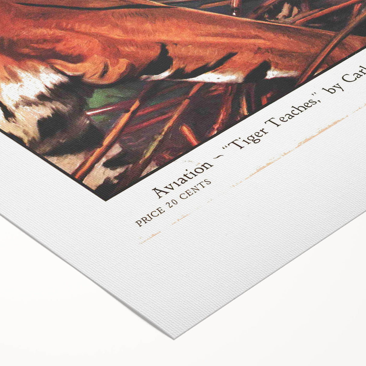 Vintage Magazine Cover Art - American Boy September 1930 Tiger Teaches