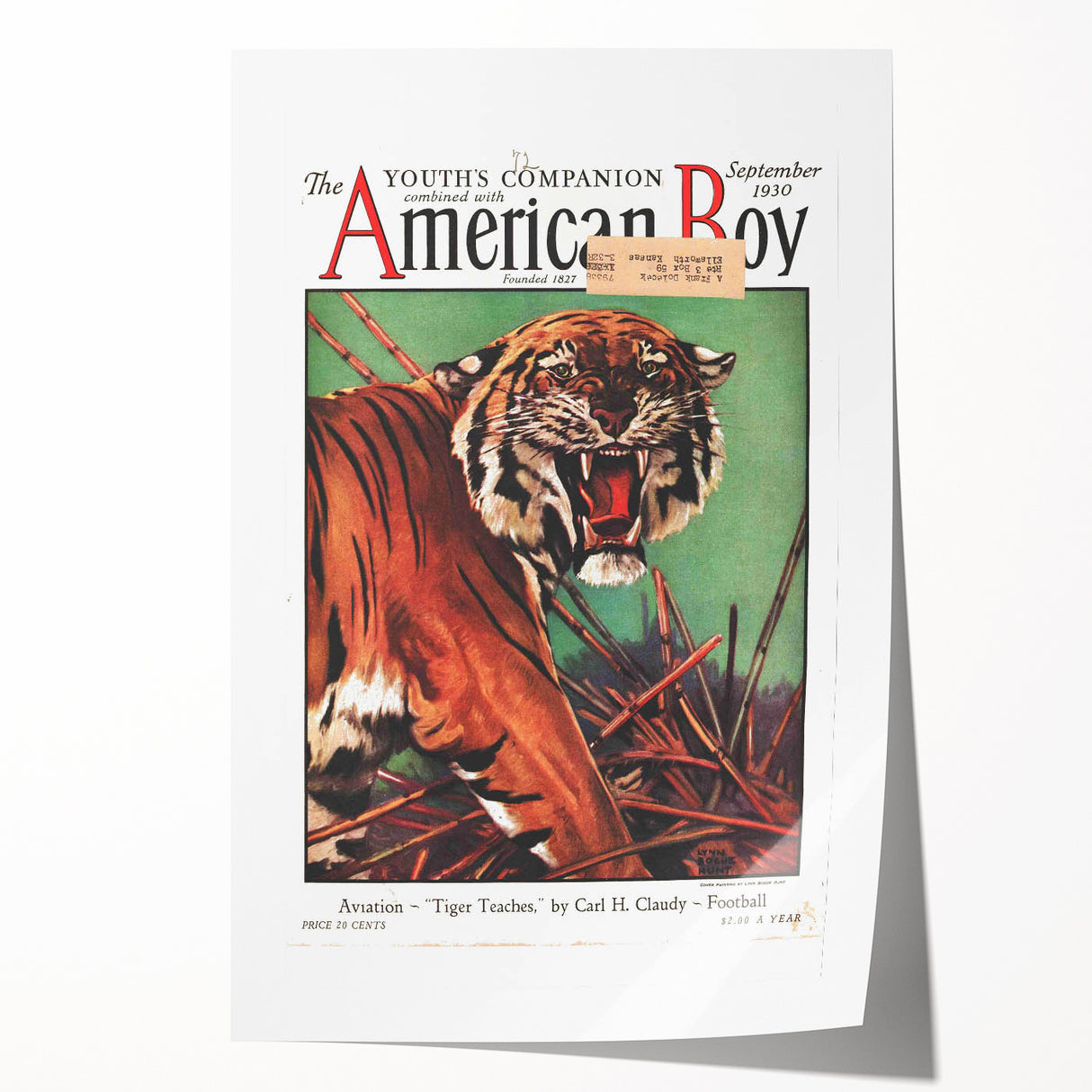 Vintage Magazine Cover Art - American Boy September 1930 Tiger Teaches