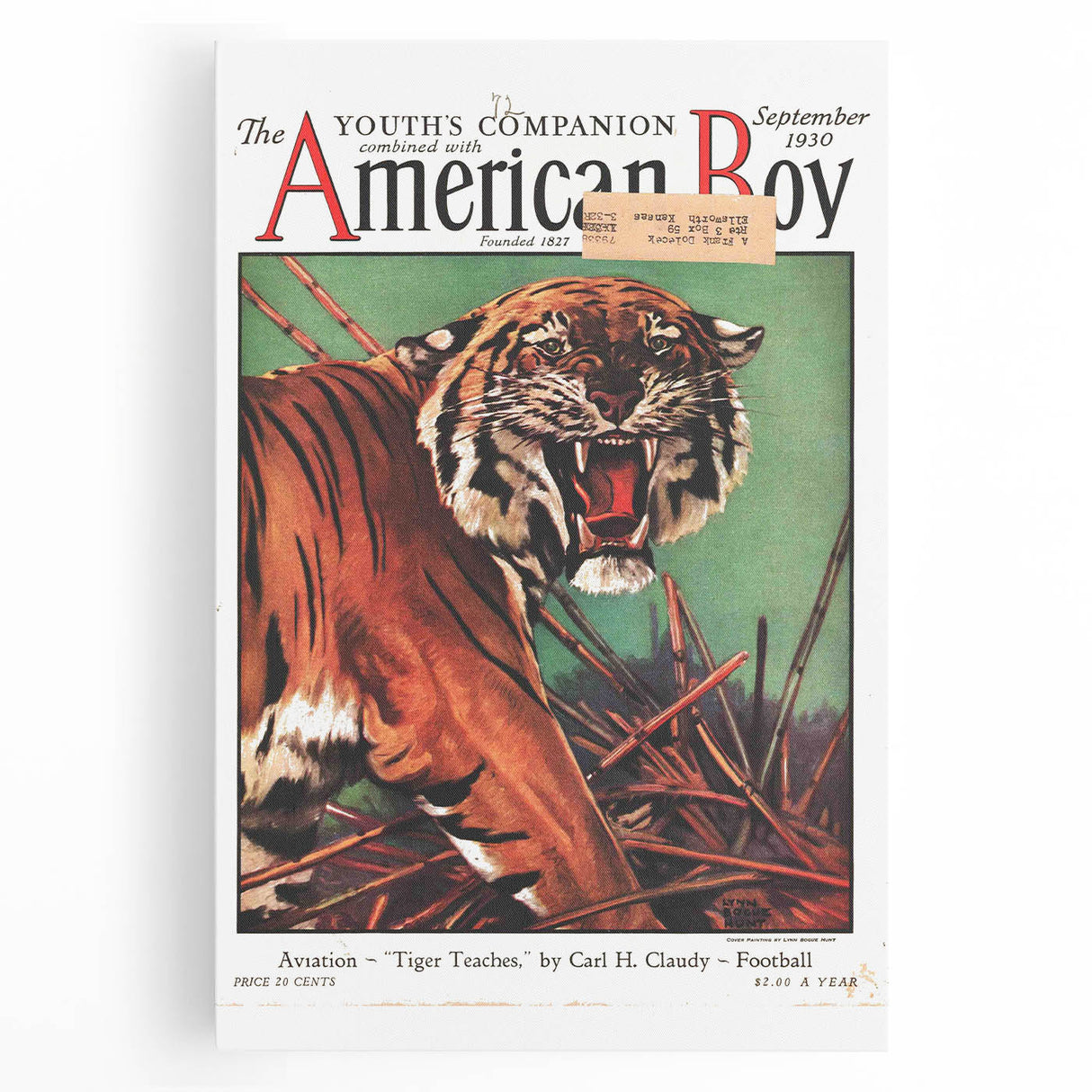 Vintage Magazine Cover Art - American Boy September 1930 Tiger Teaches