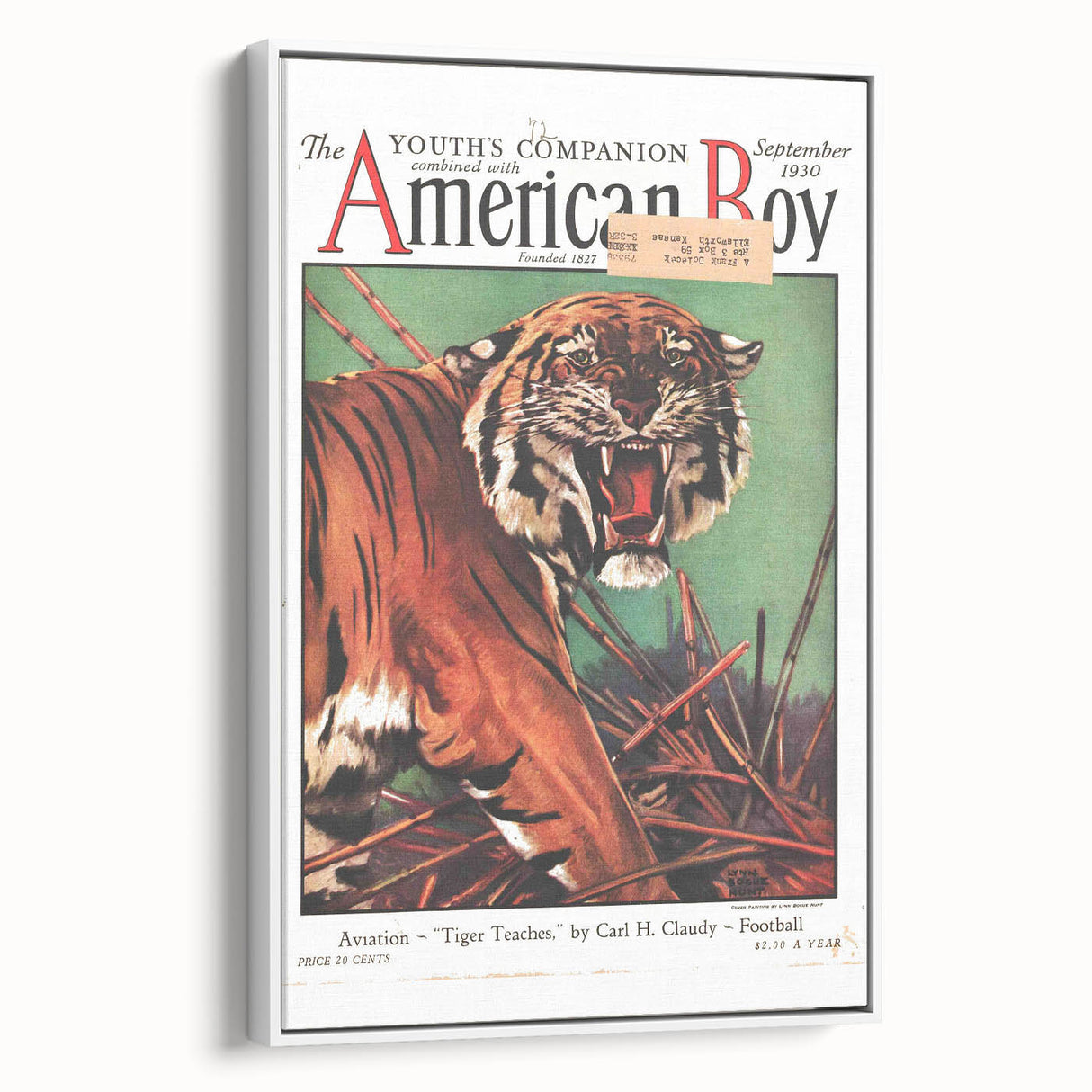 Vintage Magazine Cover Art - American Boy September 1930 Tiger Teaches