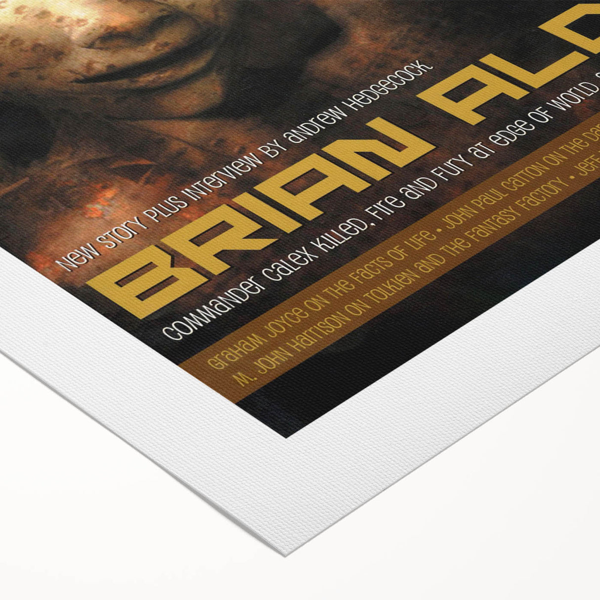 Vintage Magazine Cover Art - The 3rd Alternative, Winter 2003