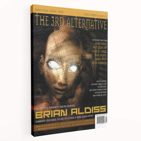 Vintage Magazine Cover Art - The 3rd Alternative, Winter 2003