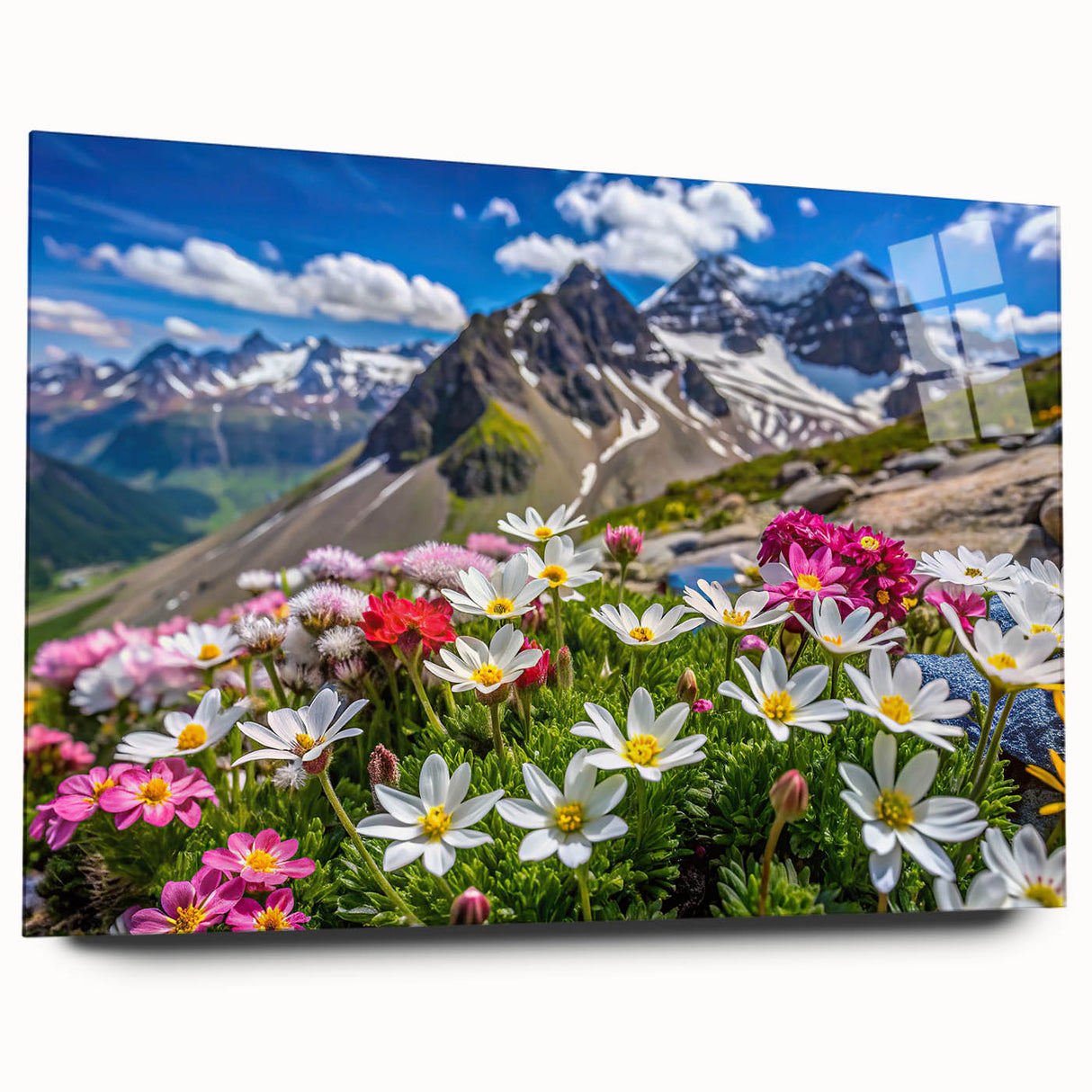 Acrylic glass wall art featuring a vibrant wildflower design, showcasing bright colors and intricate details, displayed from a side view without pins. Perfect for modern home decor.