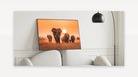 Elephant Herd at Sunset - Majestic Safari Canvas Print