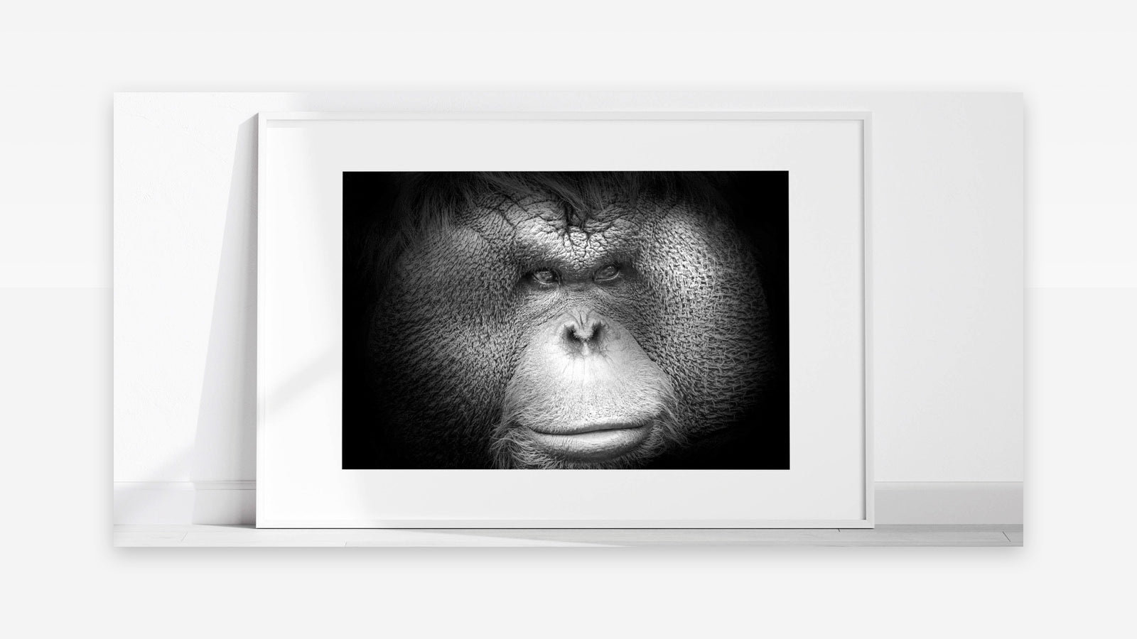 Majestic Orangutan Wall Art - Primate and Ape Decor on Canvas & Acrylic