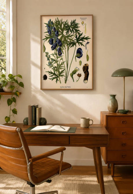 Framed antique botanical print of monkshood with purple flowers and green leaves over a mid-century wooden home office desk, calm neutral mood.