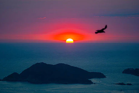 Acapulco collection wall art featuring a stunning sunrise with red sky, sun's afterglow over horizon and water