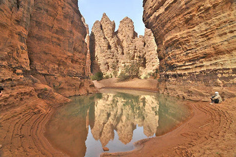 Algerian wall art featuring geological formations, erosion, and bedrock in a narrow canyon