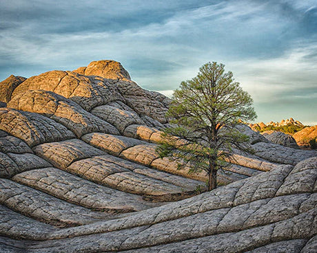Arizona collection wall art featuring badlands, bedrock outcrop and erosion in Arizona's geological terrain