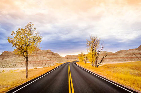 Yellow road winding through hilly terrain in Badlands National Park landscape wall art