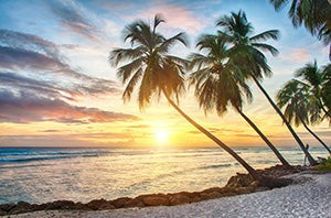 Blue sky and sea in a summer beach scene from the Barbados wall art collection
