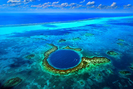 Underwater view of vibrant coral reef and shoal in Belize lagoon wall art