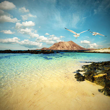 Coastal landscape wall art featuring a serene beach view in the Canary Islands