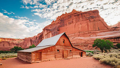 Stunning landscape of geological formations, erosion, and badlands in Capitol Reef National Park wall art