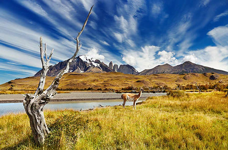 Stunning Chilean highland landscape with mountain range, grassland, and clouds as wall art