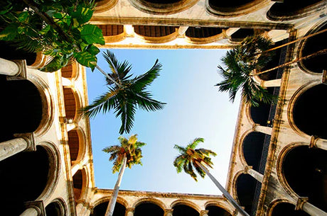 Blue arch and column wall art featuring classical Roman architecture, California and babassu palm trees in Cuba