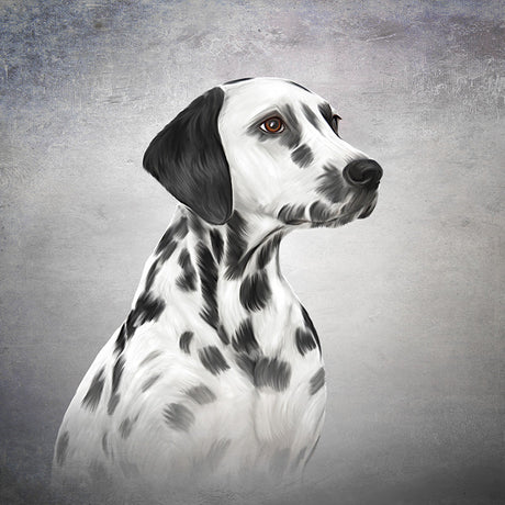 Dalmatian dog wall art featuring a detailed black and white print, perfect for home decor and dog lovers.