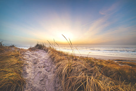 Sunset over the Danish coast with natural landscape and sea in the 'Denmark' wall art collection