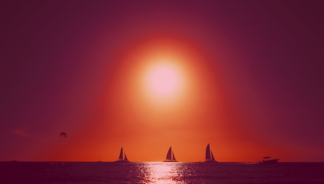 Banner image for New Arrivals wall art collection – sailboats on ocean at sunset with vivid red sky