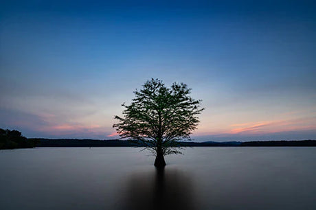 Blue dusk horizon reflected in water, Durham Collection Natural Landscape Wall Art