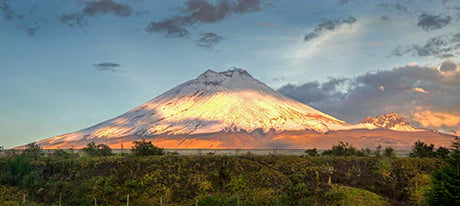 Ecuador collection wall art featuring volcanic mountain range, highlands, and natural Ecoregion landscape