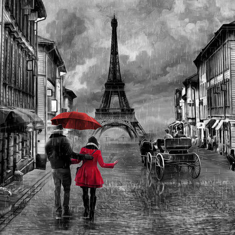 Black and white monochrome European street scene wall art featuring a bicycle, umbrella, and rain.