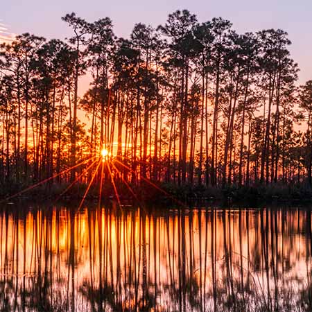 Sunset in Everglades National Park with silhouetted trees and golden water reflections – tranquil Florida nature wall art for peaceful home or office décor.