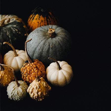 Fall wall art featuring assorted pumpkins and gourds in muted autumn tones on dark background — Fall wall art collection for seasonal harvest home decor.