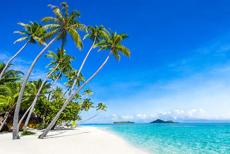 Daytime View of Fiji's Blue Sea, Coastal Landforms, and Tropical Beach Wall Art