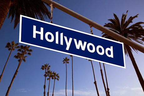 Hollywood collection wall art featuring iconic California palm trees