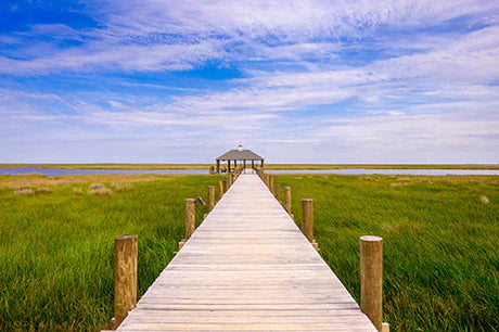 Louisiana collection wall art featuring a serene ocean view with boardwalk, dock, and natural wetland landscape.