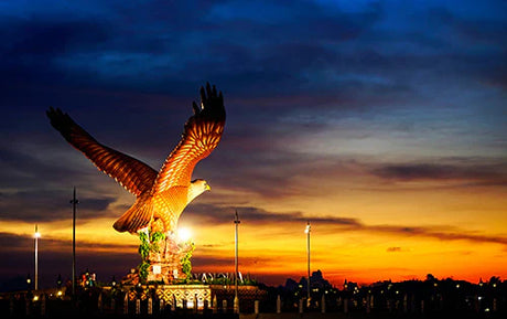 Malaysian wall art featuring a majestic bird of prey, specifically an Accipitridae eagle with a sharp beak.