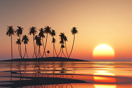 Maui Collection wall art featuring a stunning sunset with afterglow over the ocean horizon