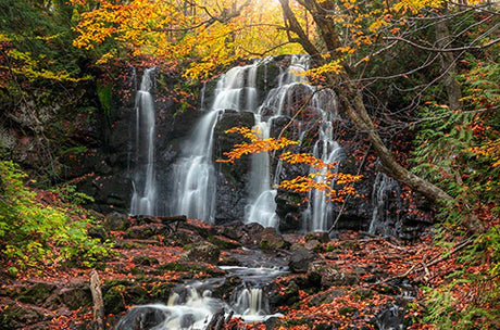 Michigan waterfall nature wall art featuring lush greenery and flowing stream