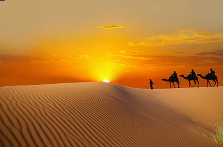 Moroccan wall art featuring a camel and working animal in a stunning desert landscape at sunset