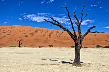Stunning Namibian desert landscape wall art featuring sand dunes and natural geology