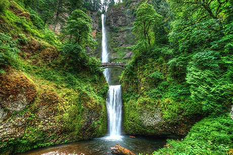 Stunning wall art featuring the lush greenery and cascading waters of Multnomah Falls