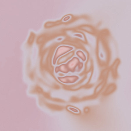 Abstract grainy gradient wall art with soft pink tones and organic flower-like forms, ideal for modern nature-inspired decor.